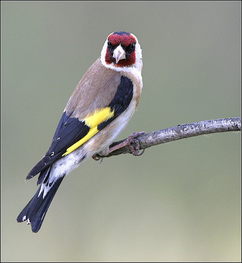 4DC8B57F-C61D-4330-8105-A64C861DE0CD