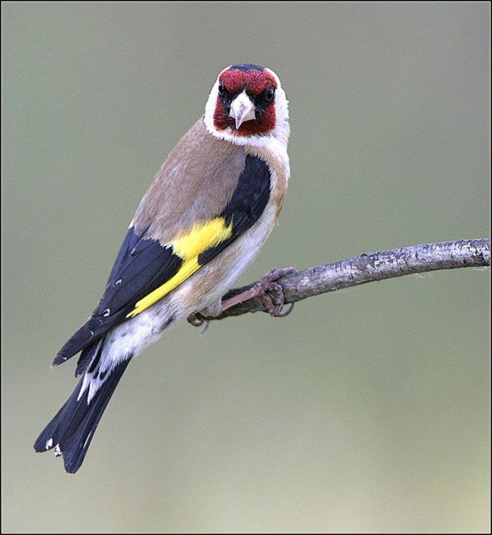 4DC8B57F-C61D-4330-8105-A64C861DE0CD